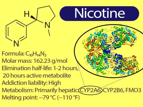 Nicotine effects