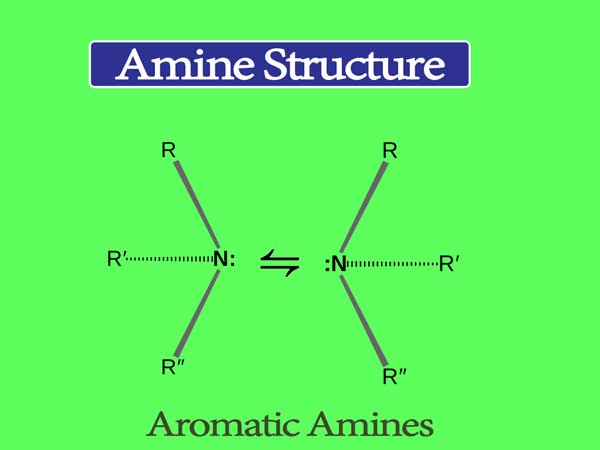 Amine Properties and Uses