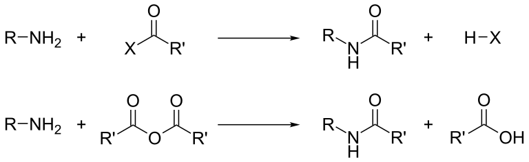 Amine Properties and Uses