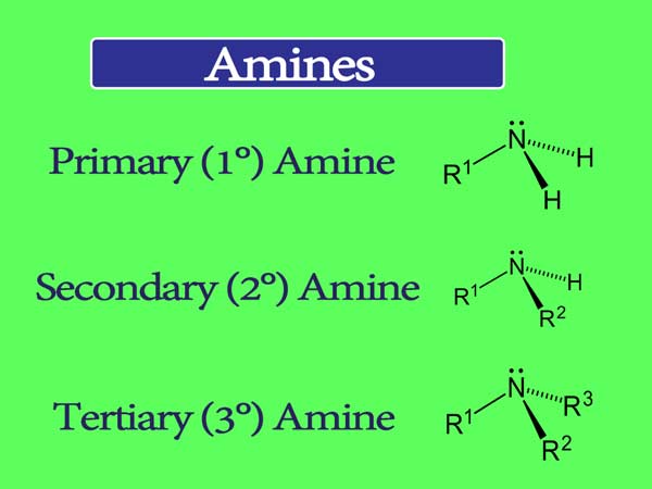 Amines