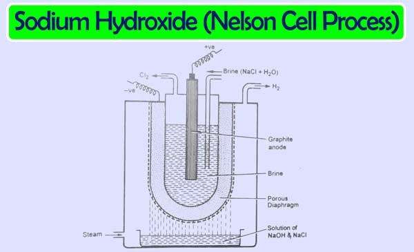 Sodium hydroxide nelson cell